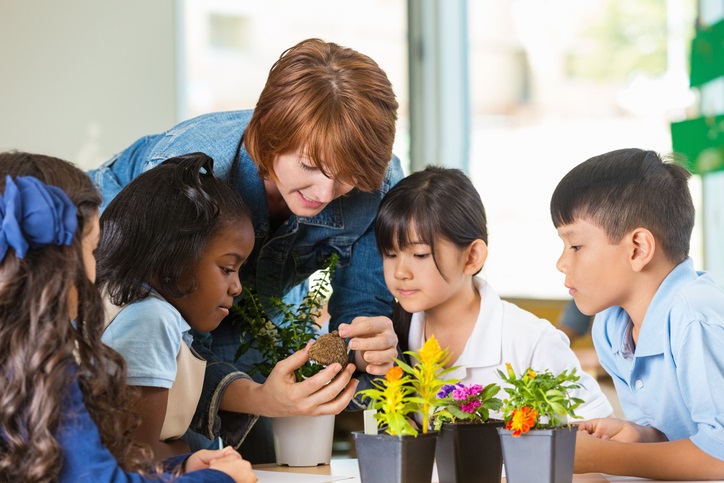 Learning For Sustainability | EIS