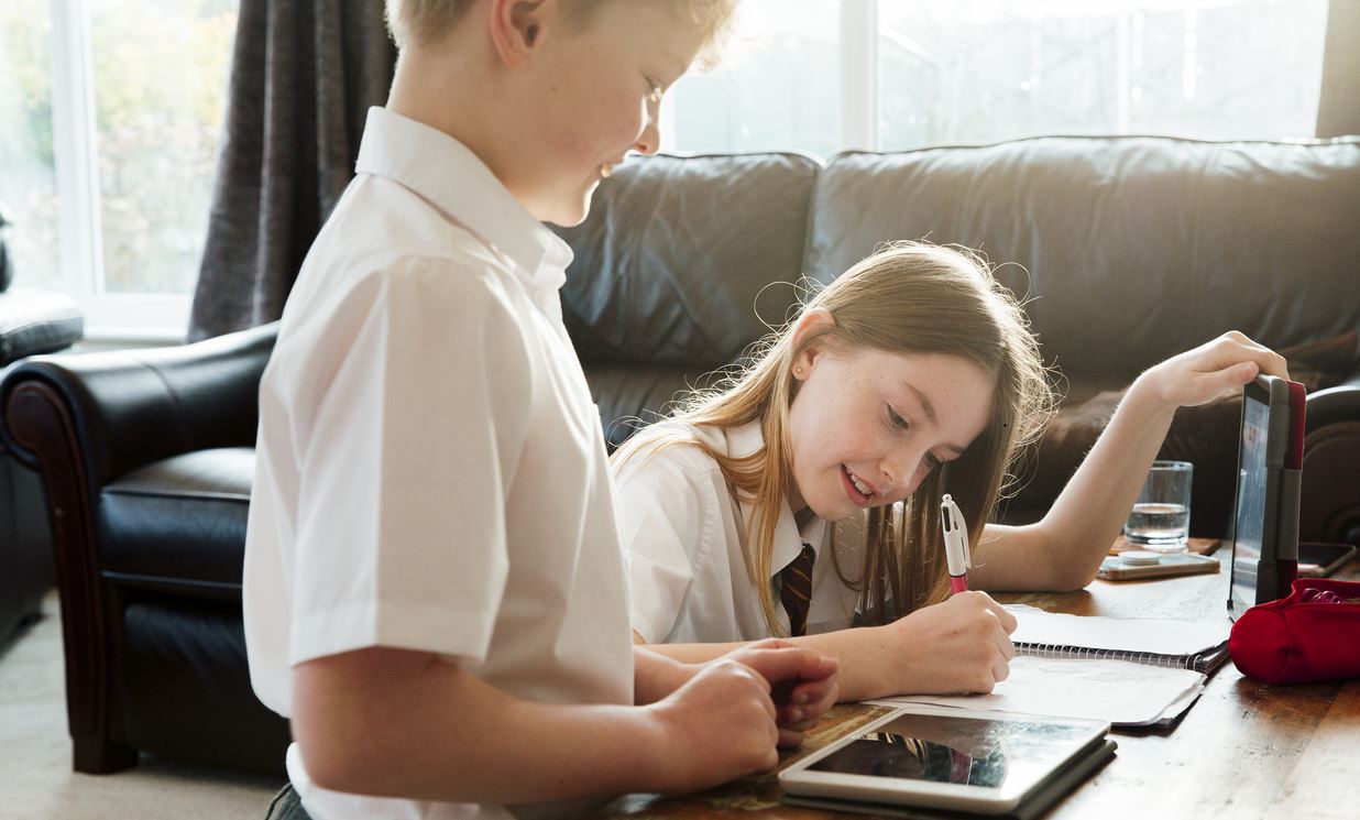 Comments from EIS members on remote and blended learning | EIS
